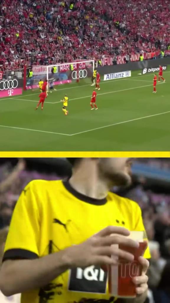 勇者無懼！這是真多特球迷！在拜仁球迷區(qū)一個人肆意慶祝！